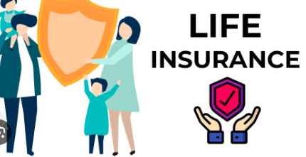 Life Insurance Basics